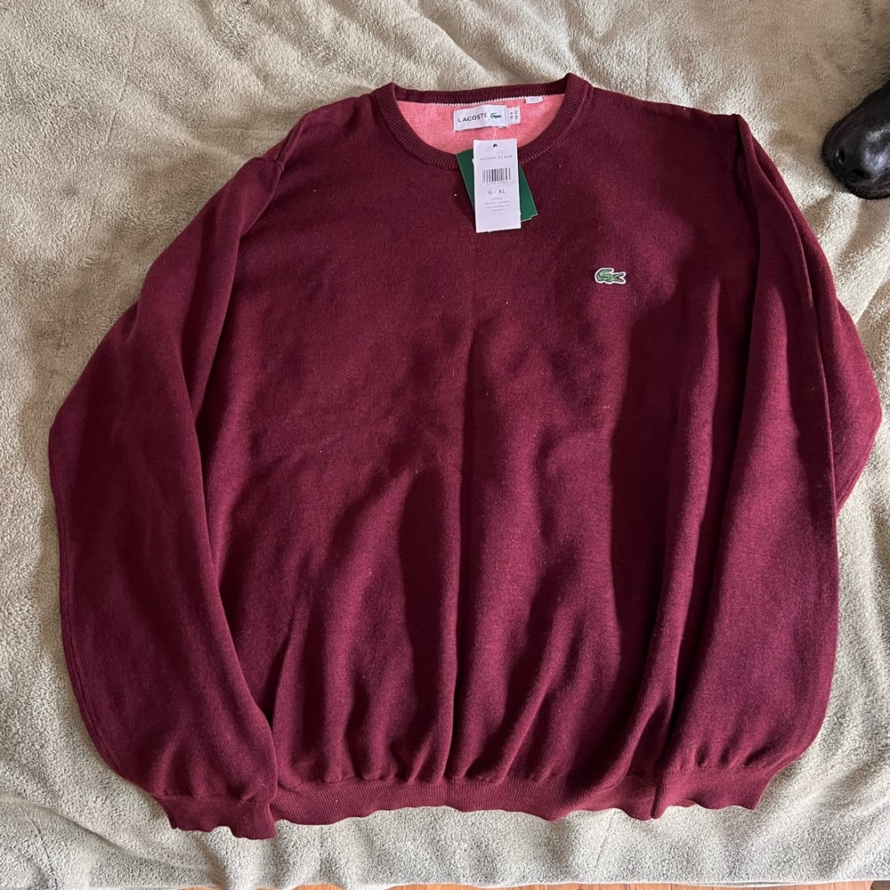 Lacoste sweater brand new